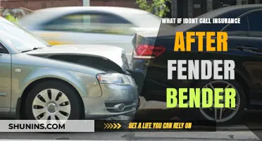 Insurance and Fender Benders: What You Need to Know