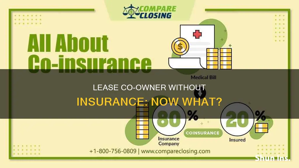 what if lease co owner does not carry insurance