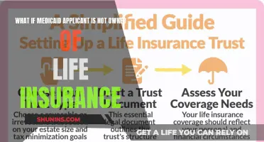 Life Insurance and Medicaid: Ownership Matters