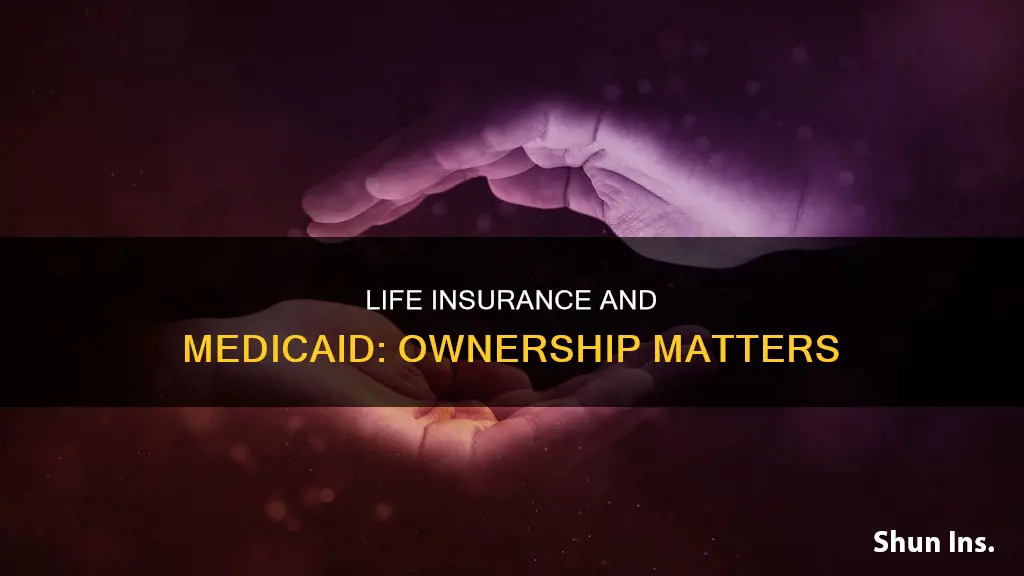 what if medicaid applicant is not owner of life insurance