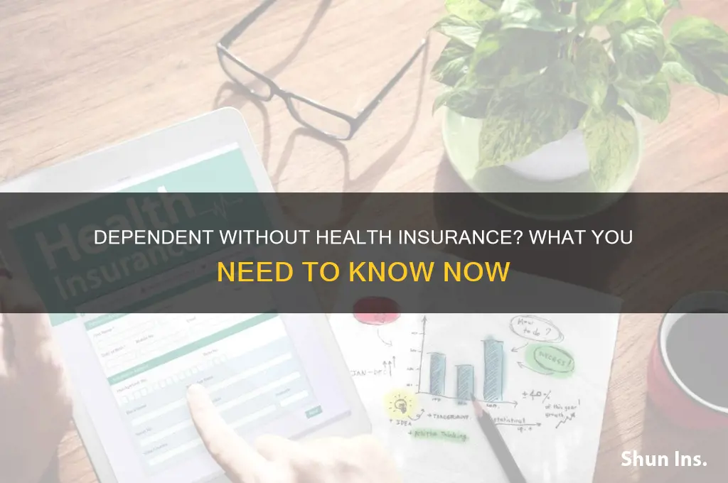 what if my dependent does not have health insurance