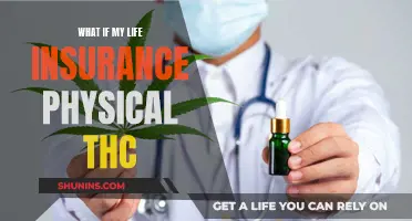 Life Insurance and THC: What You Need to Know