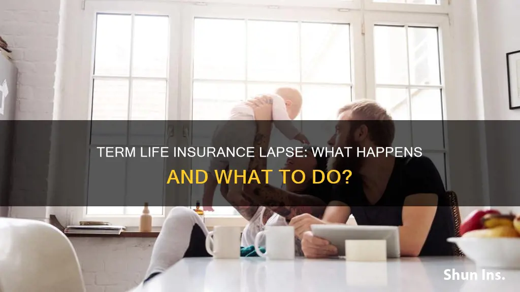 what if my term life insurance lapses