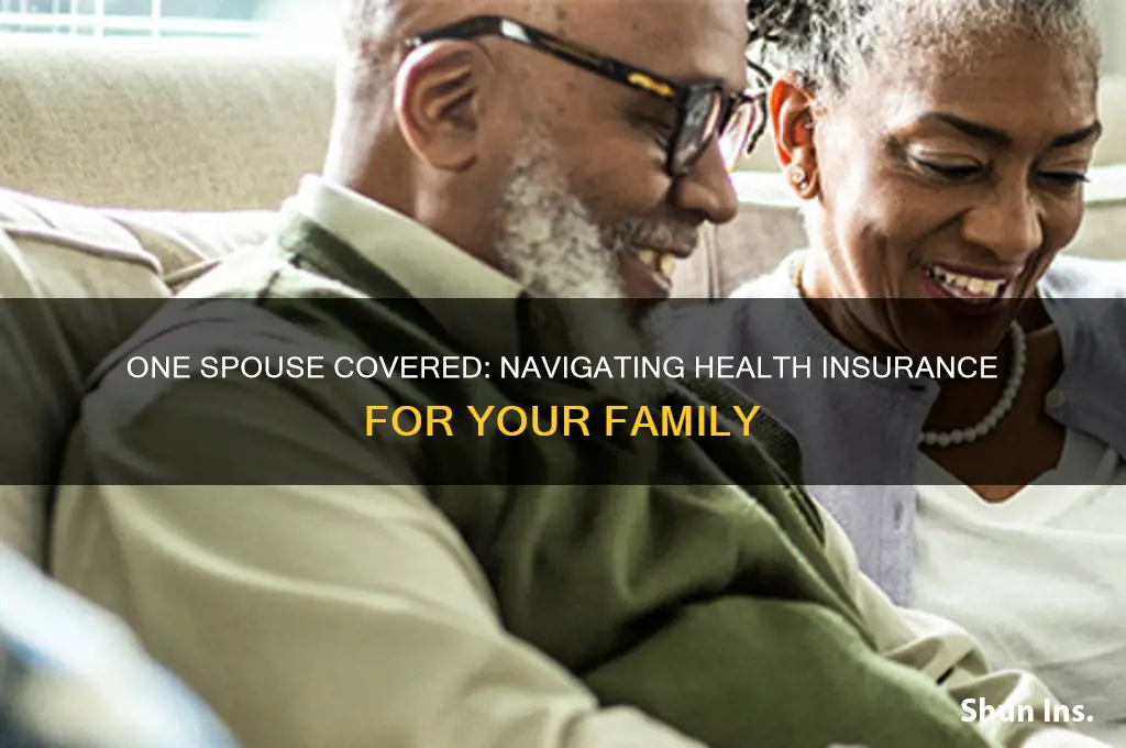 what if only one spouse has health insurance