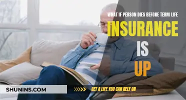 Life Insurance: Death Before Term, What Happens?