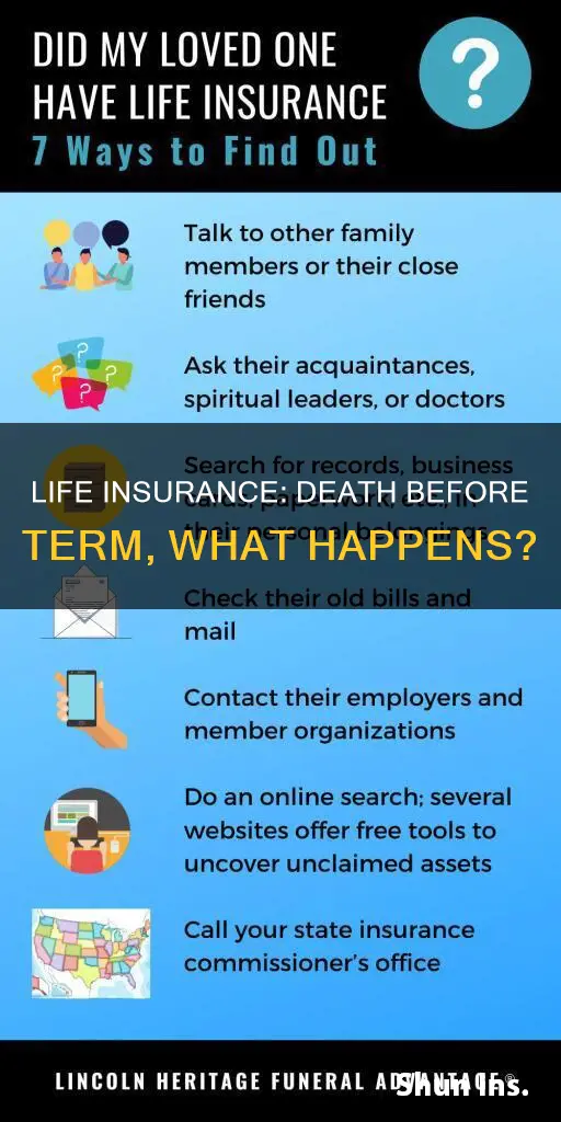 what if person dies before term life insurance is up