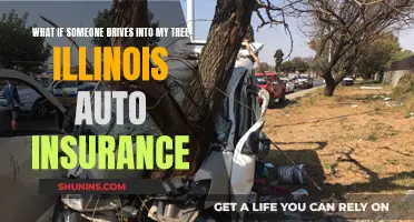 Illinois Auto Insurance: Tree Damage and Liability