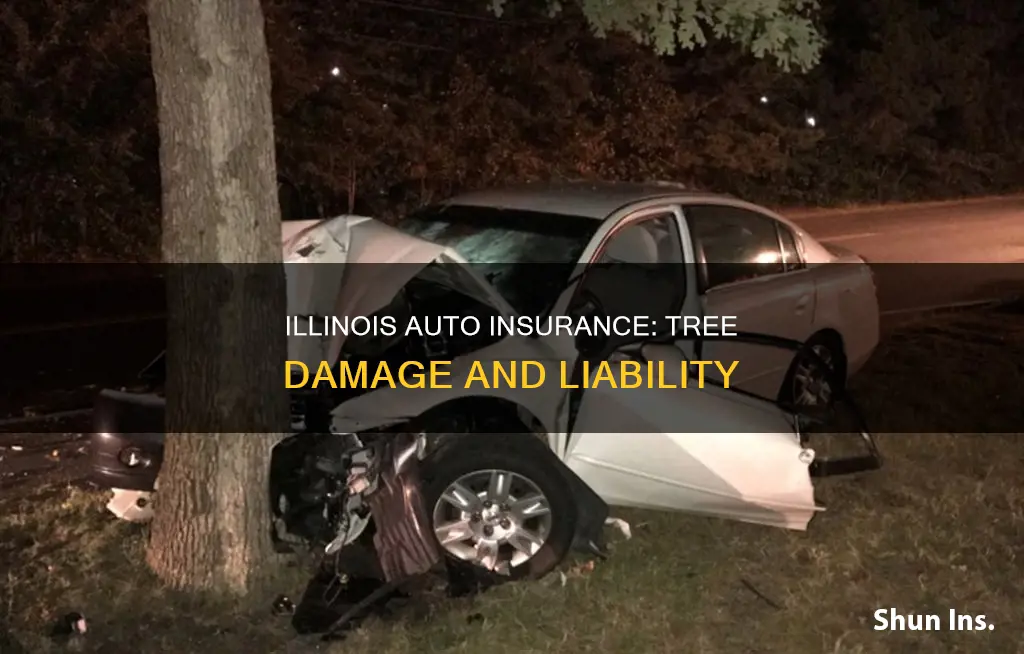 what if someone drives into my tree illinois auto insurance