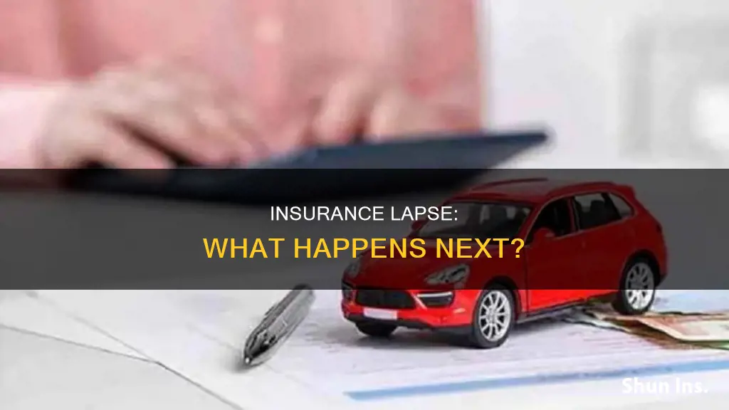 what if vehicle insurance is not renewed