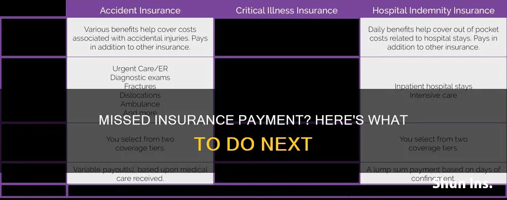 what if you cant make you insurance payment