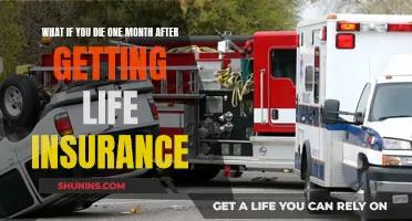 Life Insurance: Death a Month Later, What Happens?