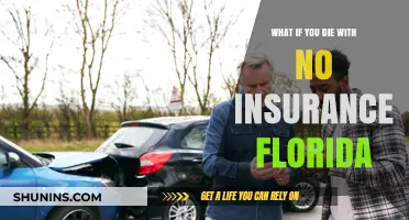 Florida: Uninsured and Unprepared for Death