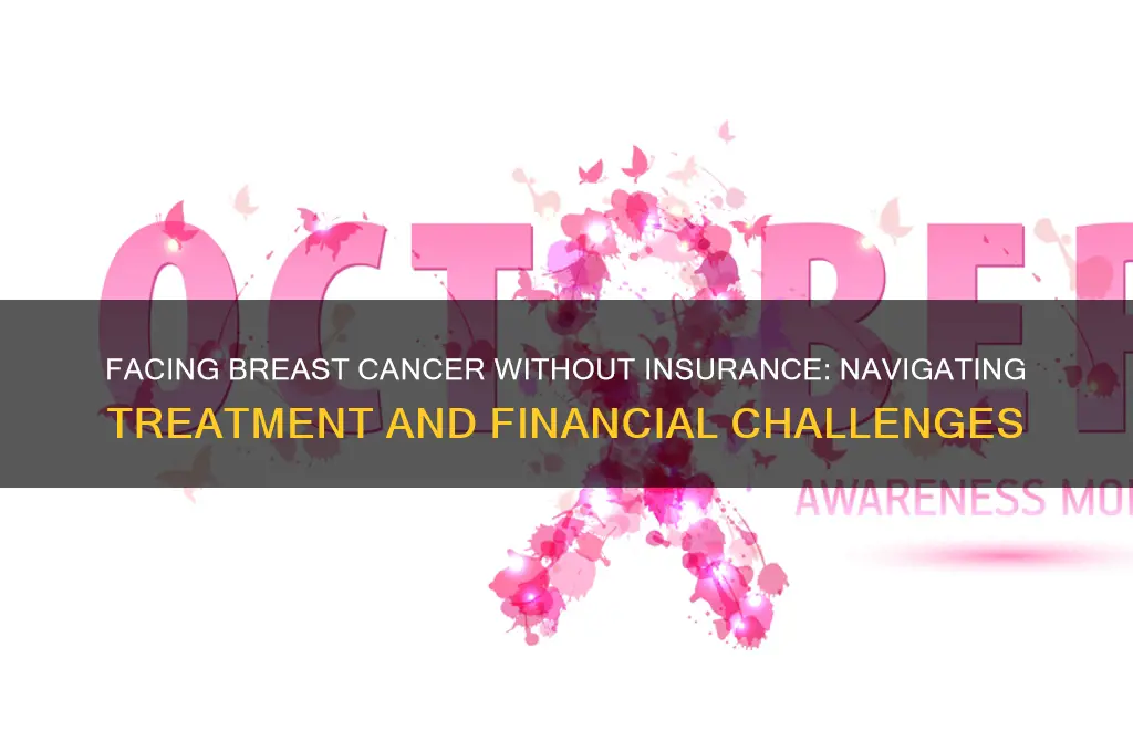 what if you have breast cancer and no health insurance