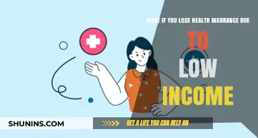 Losing Health Insurance on Low Income: Navigating Options and Staying Covered