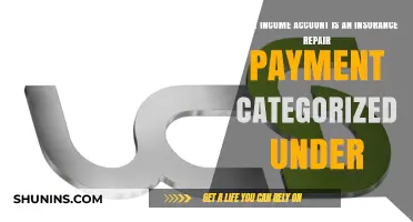 Insurance Repair Payments: Income or Expense?