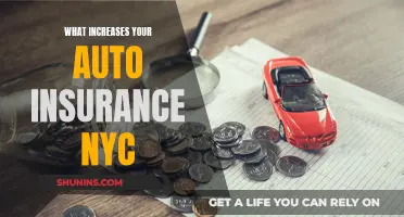 Understanding Factors Influencing Auto Insurance Rates in NYC