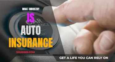 Auto Insurance: Understanding the Industry and Its Function