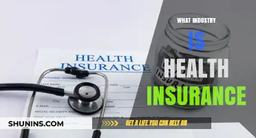 Understanding the Health Insurance Industry: Sector, Role, and Impact