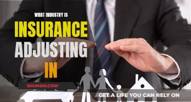 The Art of Insurance Adjusting: Navigating the Complex World of Claims and Coverage