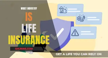 Life Insurance: Understanding the Industry and Its Significance