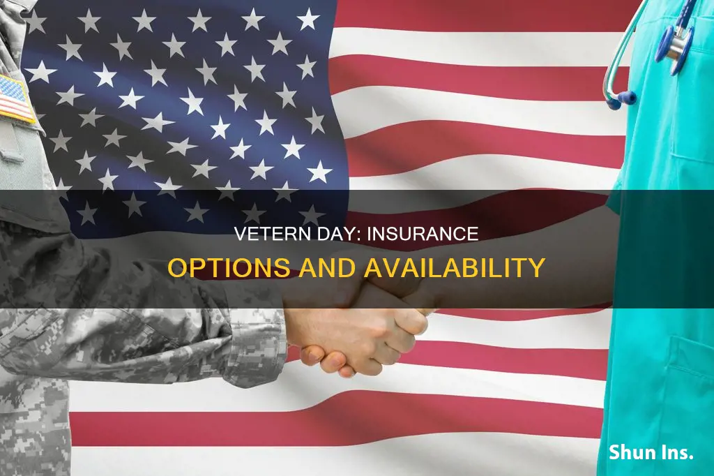what insurance are open vetern day