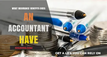 Accountants: Understanding Their Insurance Benefits