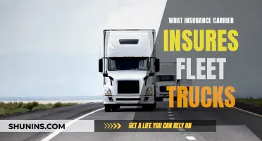 Insuring Fleet Trucks: Which Carrier?