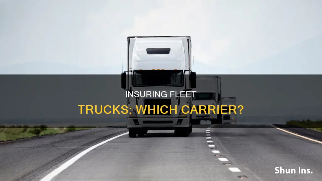 what insurance carrier insures fleet trucks