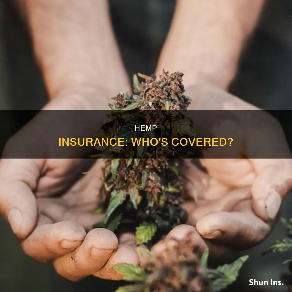 what insurance carries insurance hemp