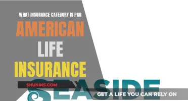 Pan-American Life Insurance: Understanding the Insurance Category and Benefits