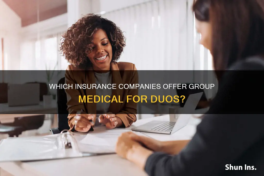 what insurance commpanies sell group medical to 2 persons