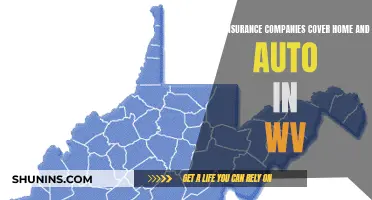 Best Home and Auto Insurance Companies in West Virginia