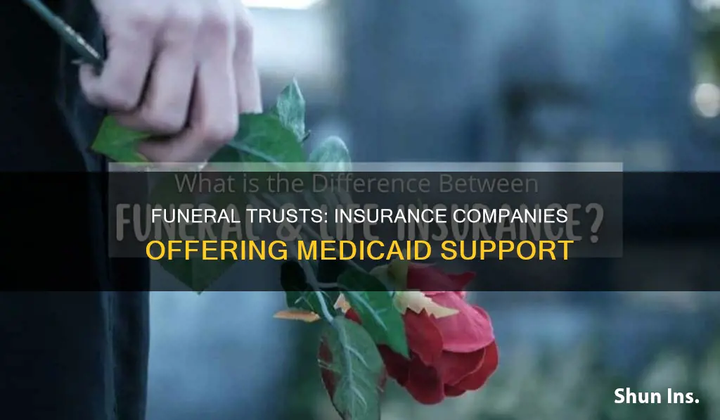 what insurance companies offer funeral trusts for medicaid