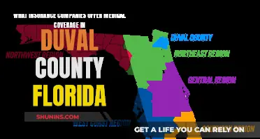 Medical Insurance in Duval County: Top Providers