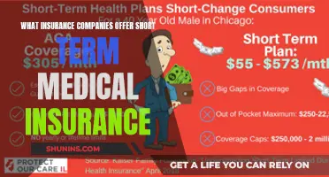 Short-Term Medical Insurance: Which Companies Offer Coverage?