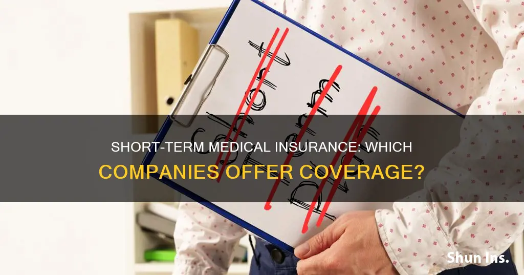 what insurance companies offer short term medical insurance