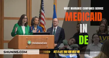 Medicaid Insurance Companies in Delaware: Who's Serving the First State?