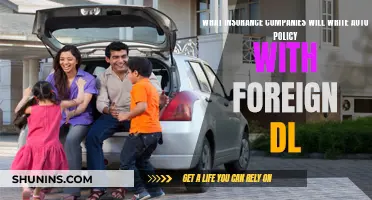 Foreign Driver's License? Get Auto Insurance Here