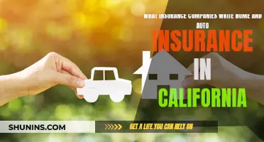 Best Home and Auto Insurance Companies in California