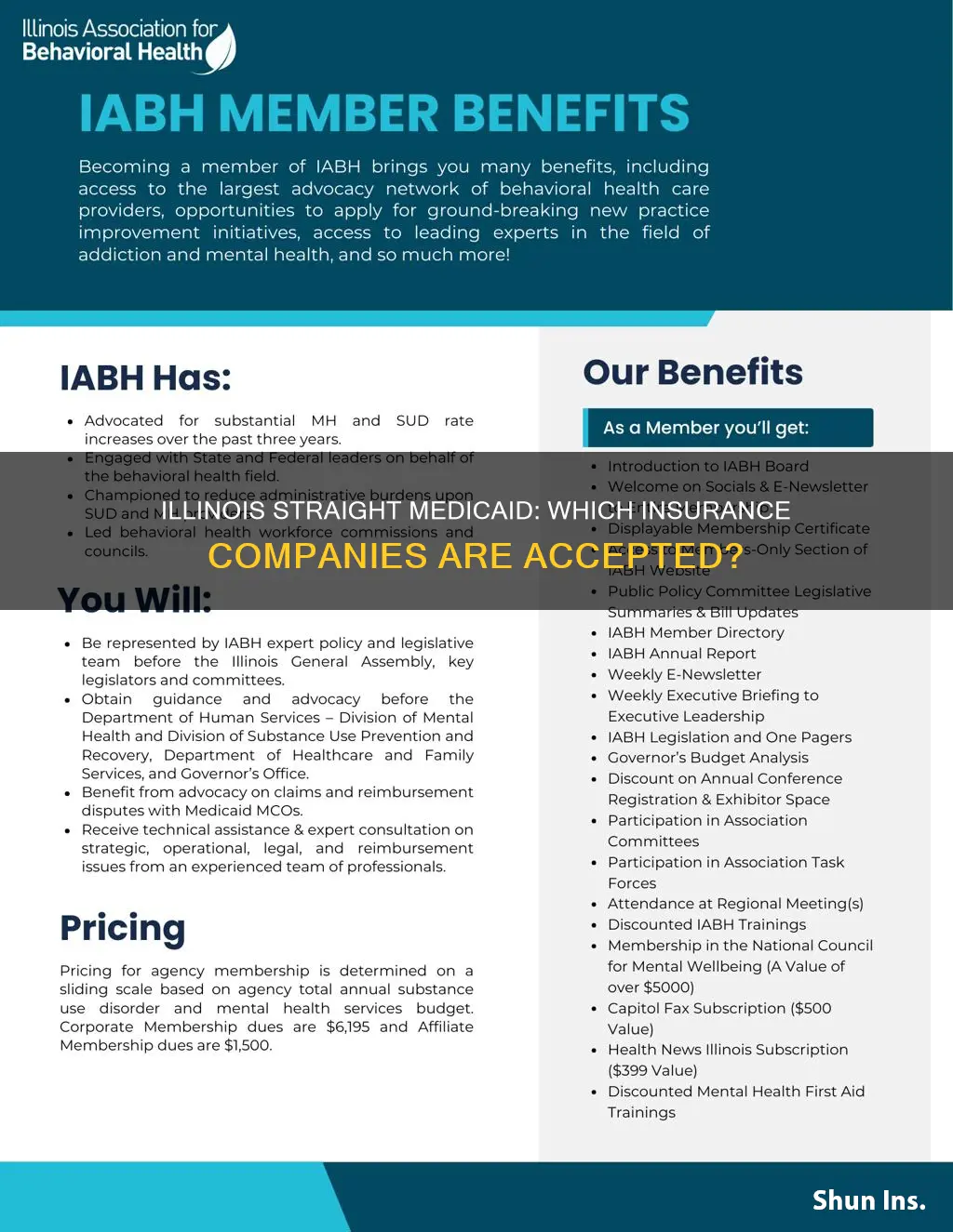 what insurance company is illinois straight medicaid