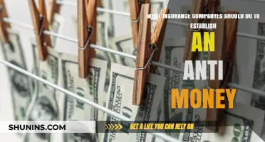 Strategies for Insurance Companies to Prevent Money Laundering