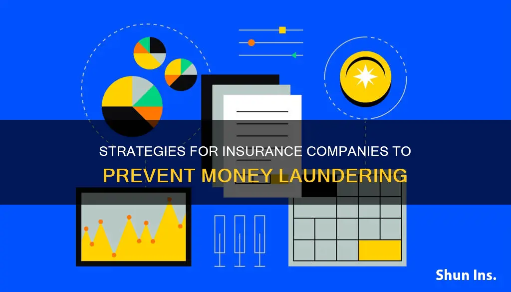 what insurance companyes should do to establish an anti money