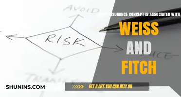 Weiss & Fitch: Unveiling the Insurance Concept of Risk-Based Capital