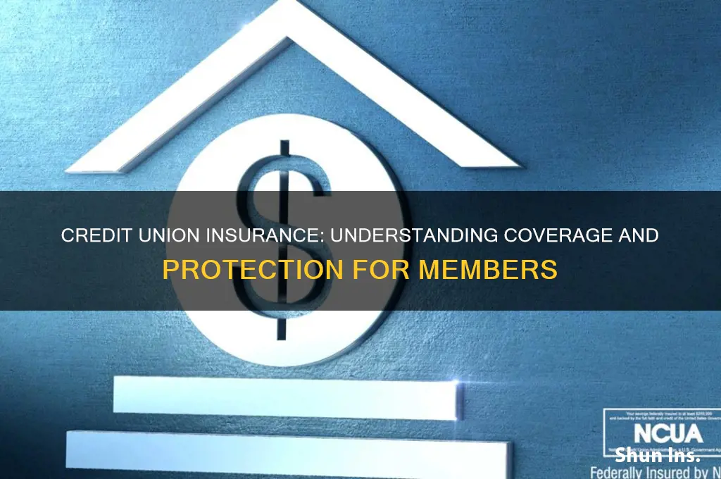 what insurance do credit unions have