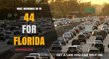 Florida's FR-44 Insurance: What You Need to Know