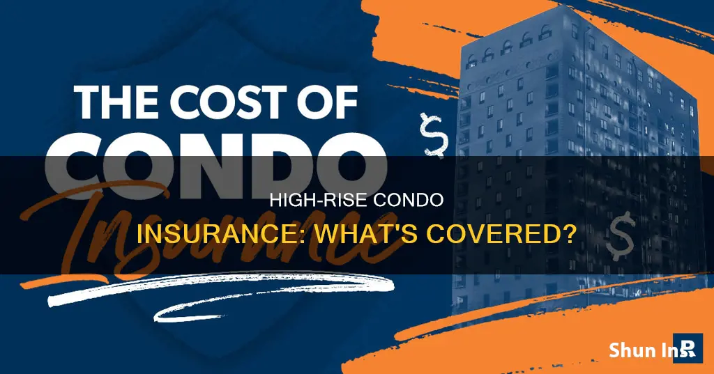 what insurance do high rise condominiums carry