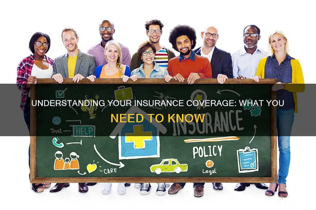 what insurance do i have