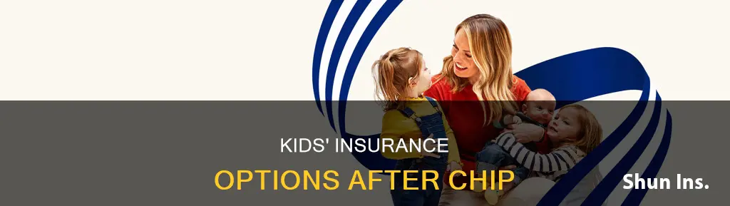 what insurance do kids go on after chip