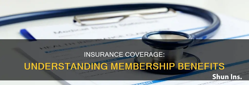 what insurance do members go on