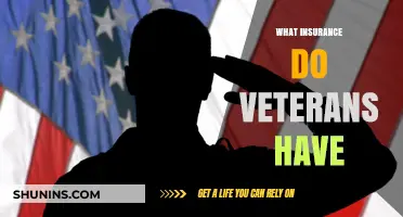 Veterans' Insurance Benefits: What Coverage is Available?